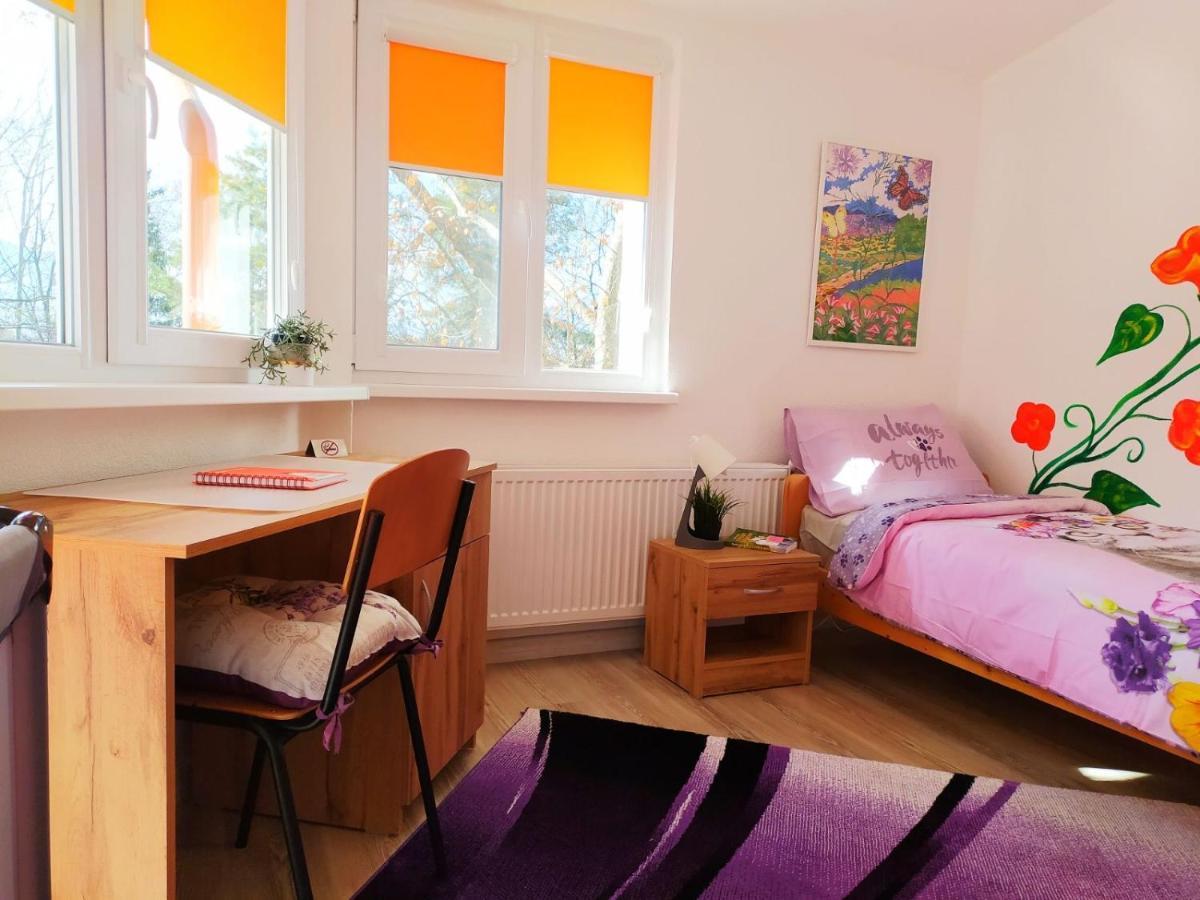 Дом За Гости Осогово Apartment Кюстендил Екстериор снимка